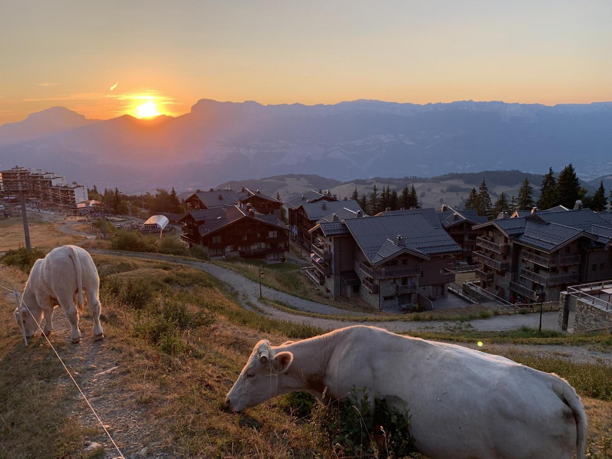 Les 7 Laux Immobilier Chalet E Prapoutel Luaran gambar