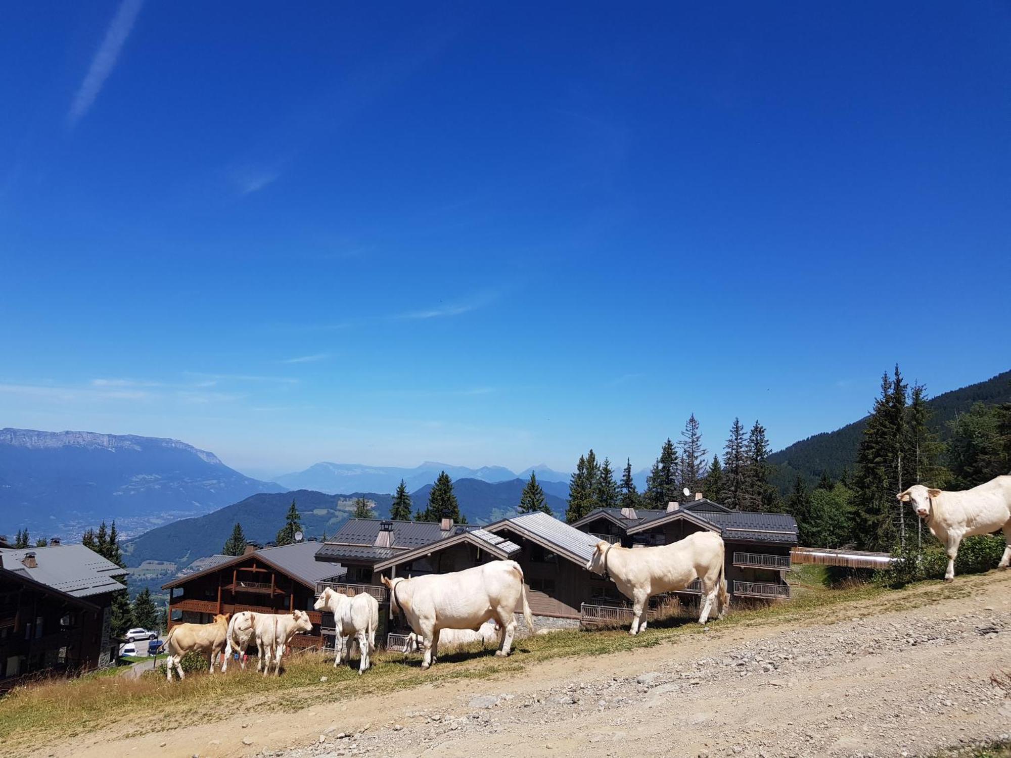 Les 7 Laux Immobilier Chalet E Prapoutel Luaran gambar