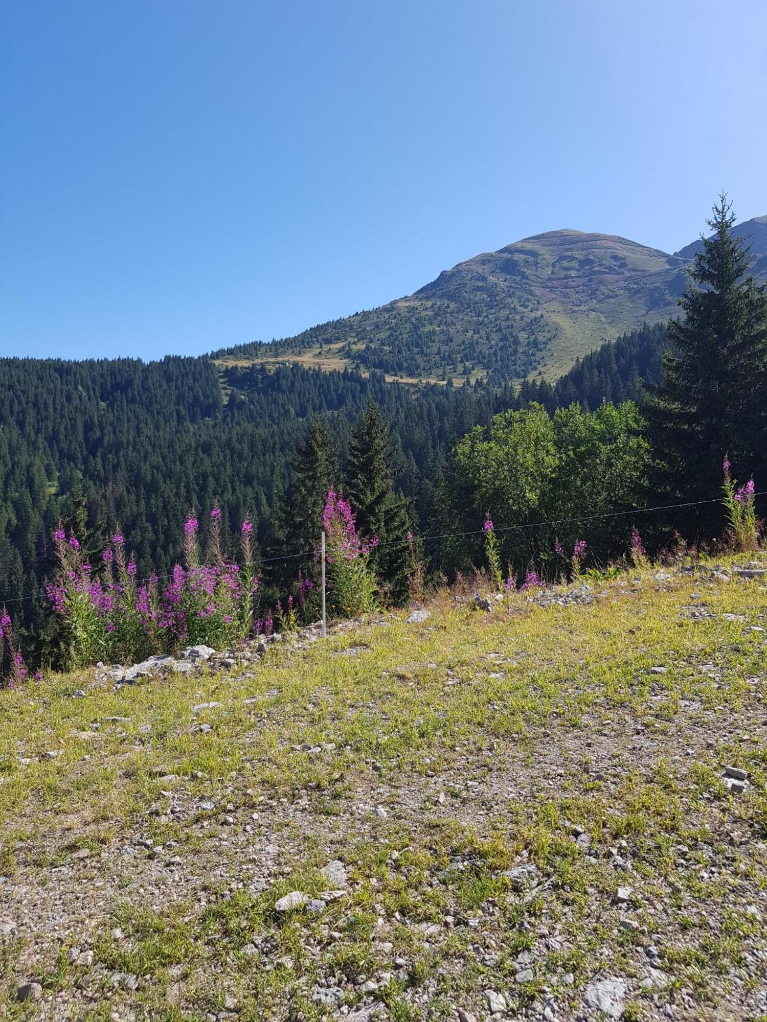 Les 7 Laux Immobilier Chalet E Prapoutel Luaran gambar